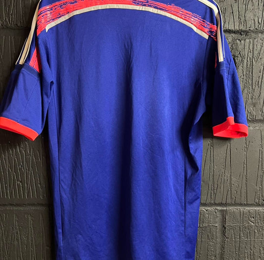 Japan 2013/15 Home - Large