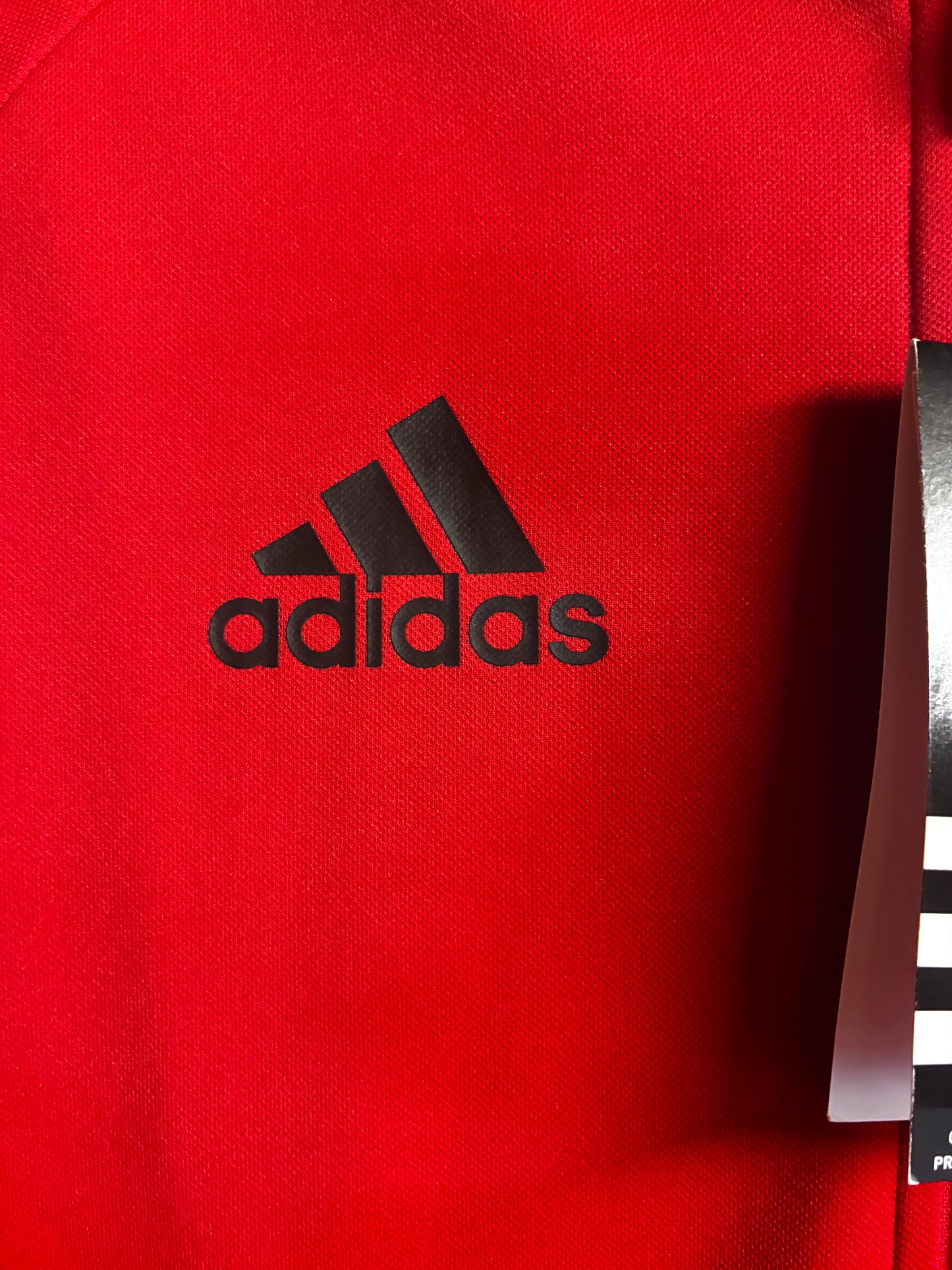 Belgium 2016/17 Anthem Jacket - Small - BNWT