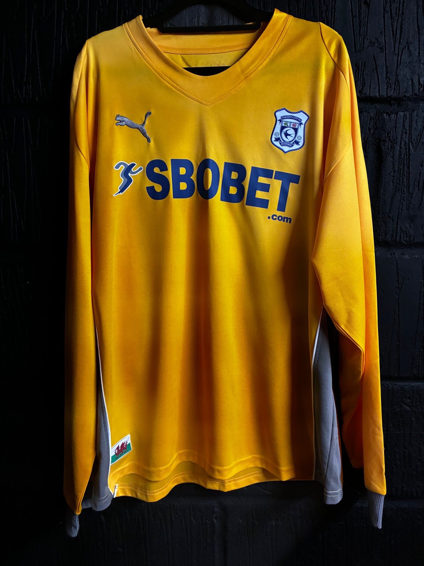 Cardiff City 2009/10 GK Home - XL