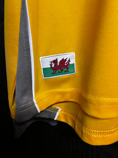 Cardiff City 2009/10 GK Home - XL
